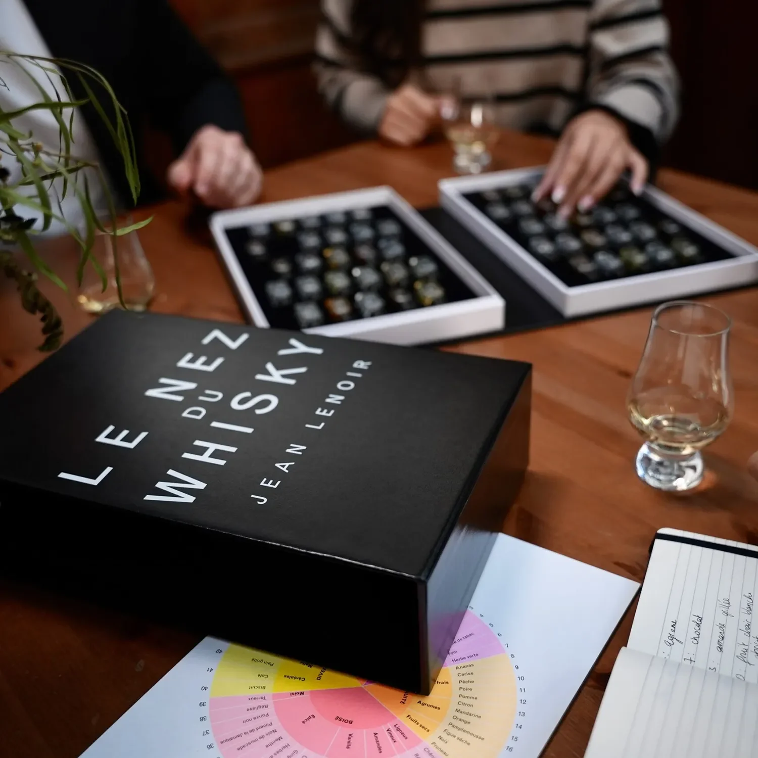 Libro 54 aromas Le Nez du Whisky - Image 3